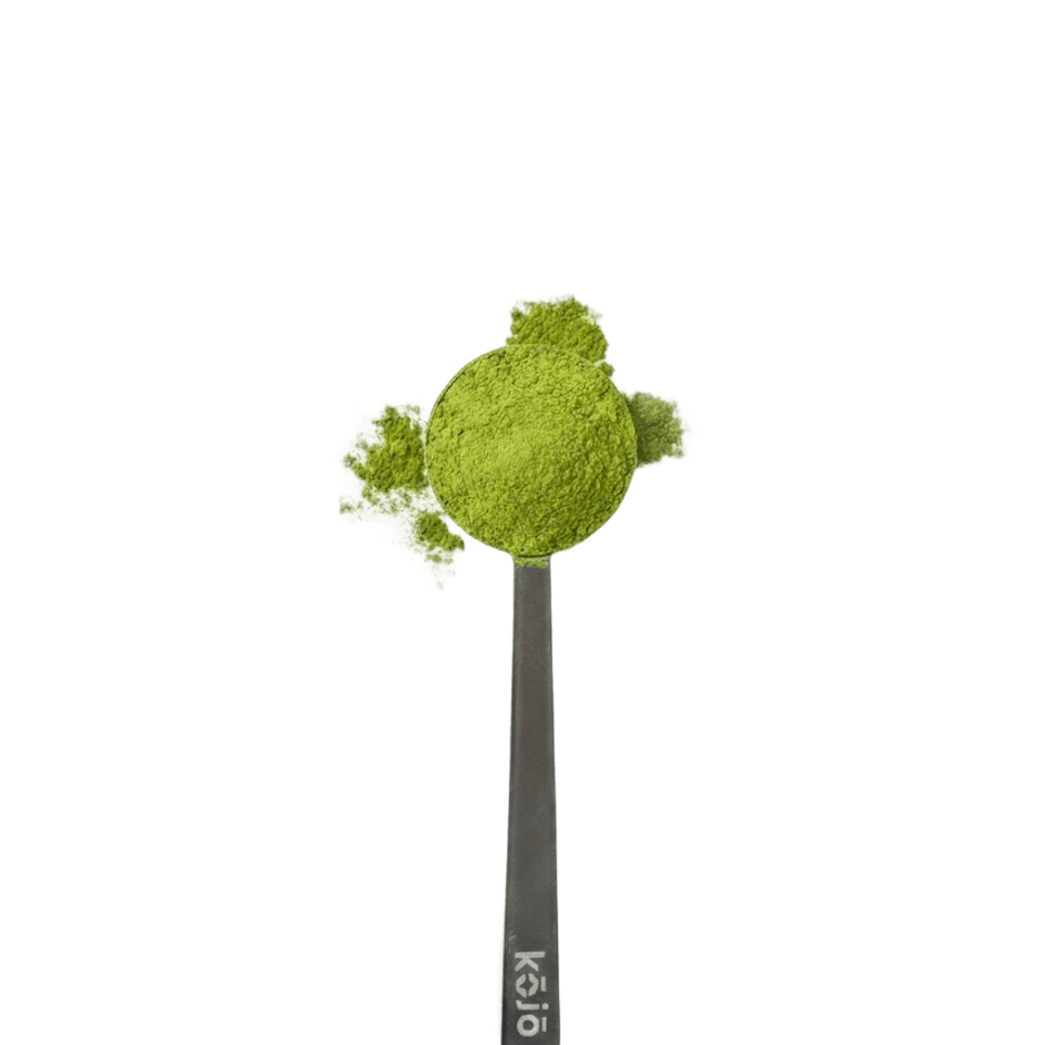 Kōjō Barista Matcha 100g Verpackung – Cultivar Blend 1. Ernte aus Aichi Japan